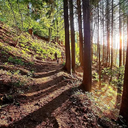 Terrasses De Duplex Le Bonheur Des Ardennes - 432 - With Airco