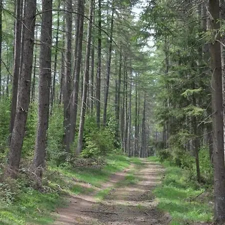 Terrasses De Duplex Le Bonheur Des Ardennes - 432 - With Airco 말메디