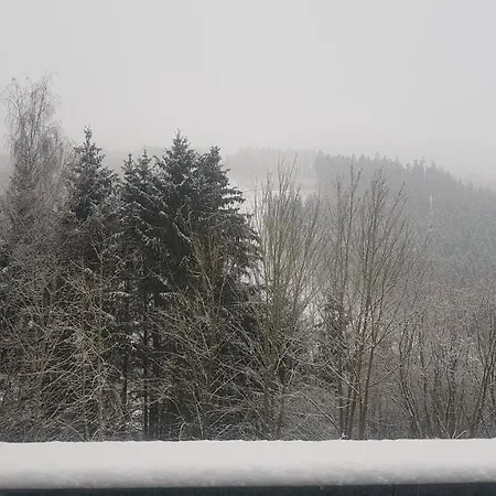 Terrasses De Duplex Le Bonheur Des Ardennes - 432 - With Airco * 말메디